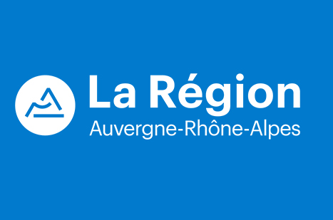 Le programme d’aide en ligne de la région Auvergne-Rhône-Alpes : « Mon Commerce en Ligne »